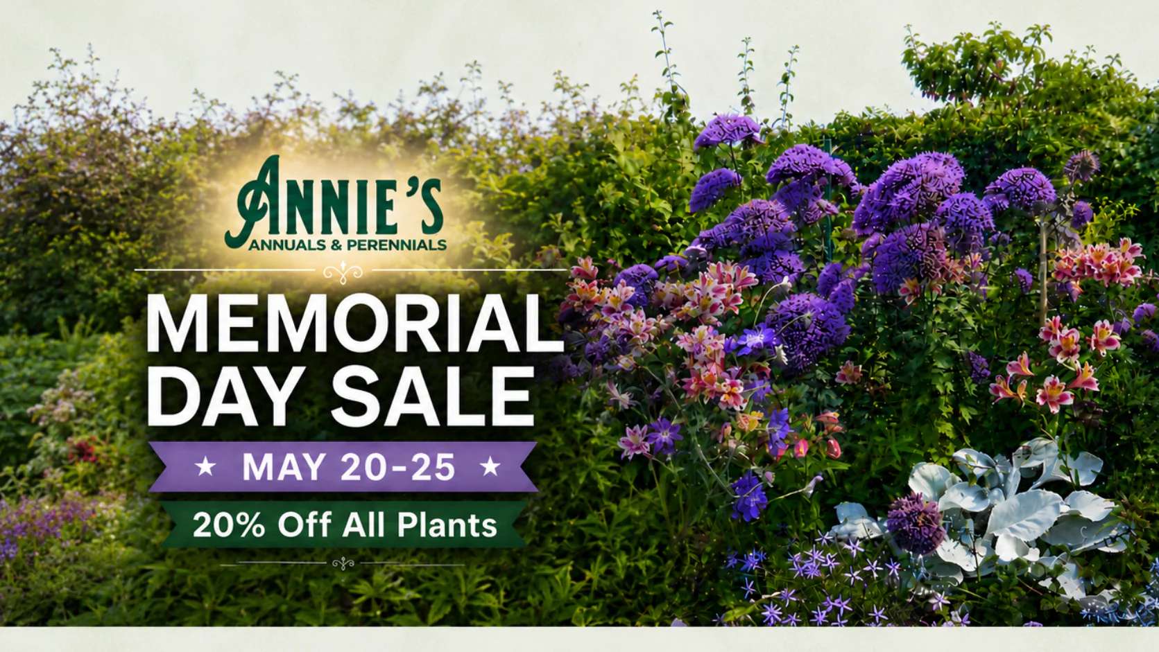 Rare Blooms for Extraordinary Gardens
